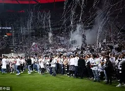 2009年欧联杯法兰克福 2009年欧联杯法兰克福